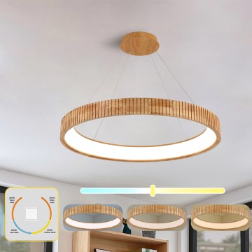 Brilagi - LED Lustr na lanku FALCON WOOD MODERN LED/60W/230V 3000/4000/6000K pr. 80 cm dřevo