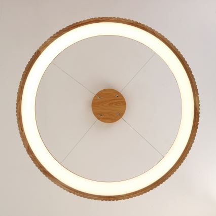 Brilagi - LED Lustr na lanku FALCON WOOD MODERN LED/60W/230V 3000/4000/6000K pr. 80 cm dřevo