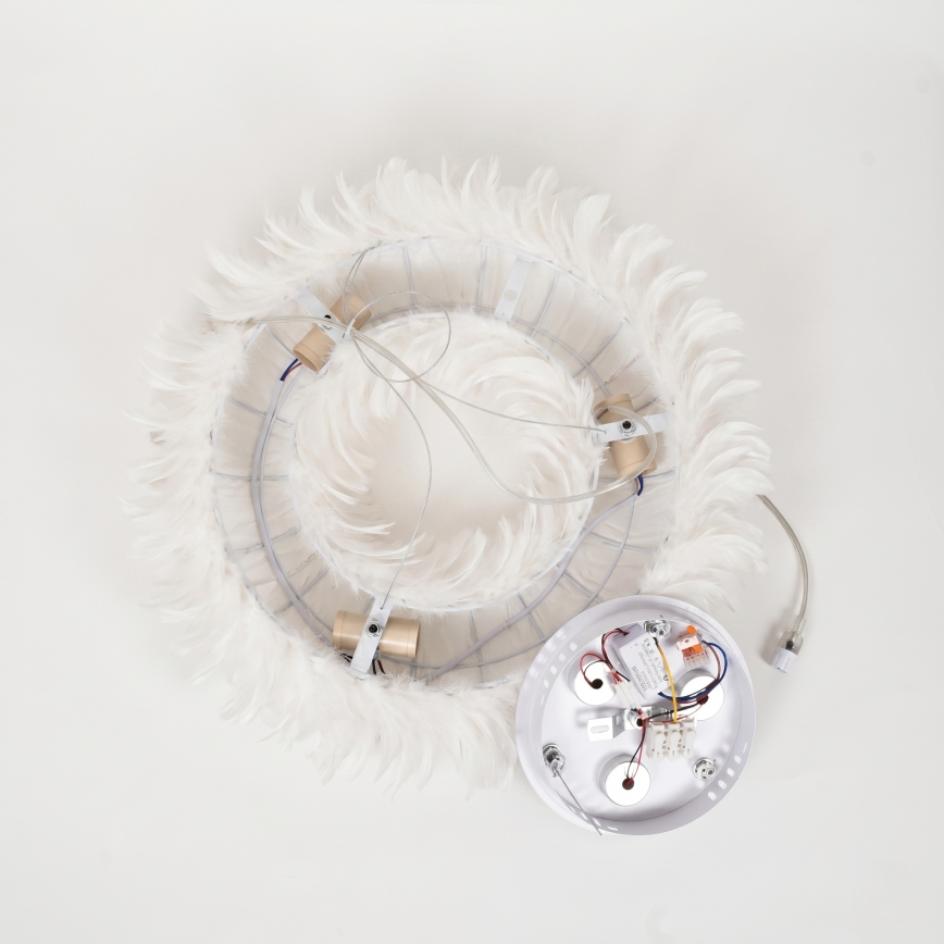 Brilagi - LED Lustr na lanku FEATHER 3xE27/40W/230V + 3xLED/3W pr. 40 cm bílá