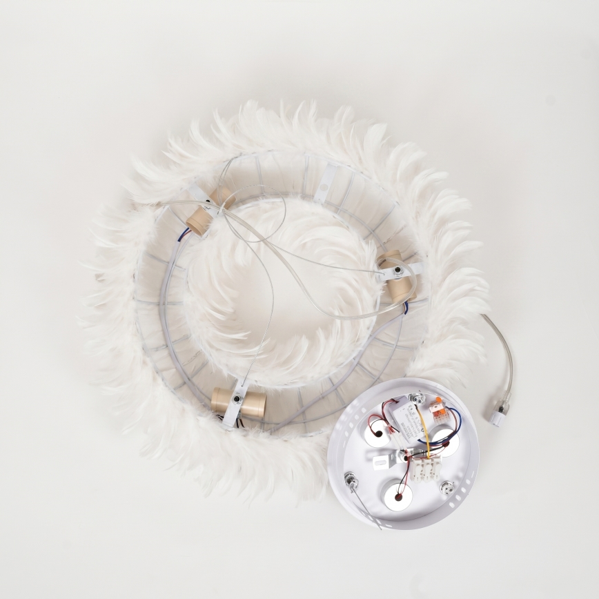 Brilagi - LED Lustr na lanku FEATHER 3xE27/40W/230V + 3xLED/3W pr. 50 cm bílá