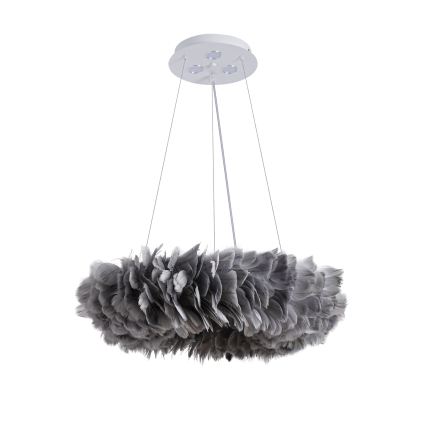 Brilagi - LED Lustr na lanku FEATHER 3xE27/40W/230V + 3xLED/3W pr. 50 cm šedá