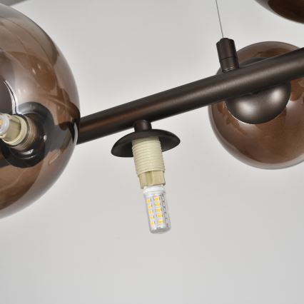 Brilagi - LED Lustr na lanku MILLA 10xG9/3W/230V hnědá/kouřová hnědá