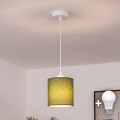 BRILAGI - LED Lustr na lanku NUBILA 1xE27/60W/230V pr. 14 cm bílá/zelená
