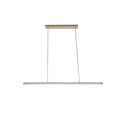 Brilagi - LED Lustr na lanku PAXIS LED/30W/230V 120 cm bílá
