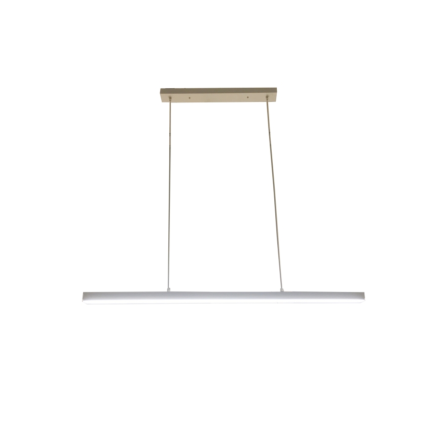 Brilagi - LED Lustr na lanku PAXIS LED/30W/230V 120 cm bílá