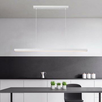 Brilagi - LED Lustr na lanku PPAXIS LED/30W/230V 120 cm bílá