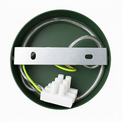 Brilagi - LED Nástěnné svítidlo FLAMENGO 1xE27/60W/230V zelená