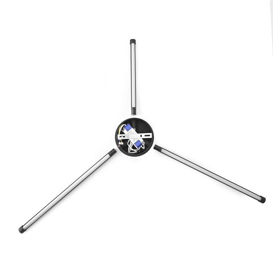Brilagi - LED Nástěnné svítidlo LUGO TRE LED/14W/230V černá