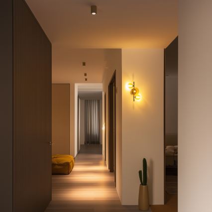 Brilagi - LED Nástěnné svítidlo MILLA 3xG9/3W/230V černý chrom/zlatá