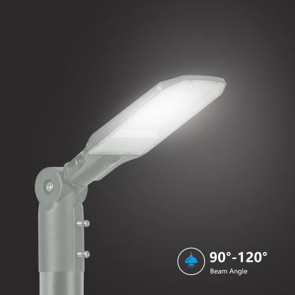 Brilagi - LED Pouliční lampa URBANLIGHT LED/50W/230V šedá IP65