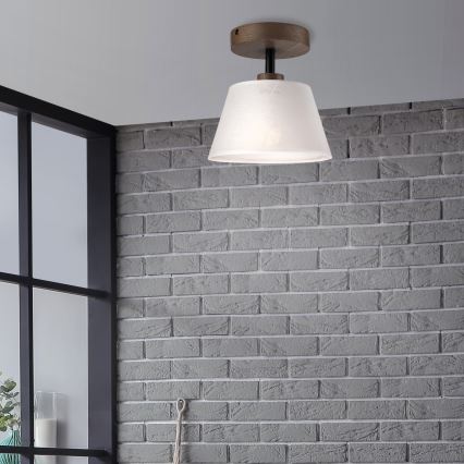 Brilagi - LED  Přisazený lustr ANTHONY 1xE14/60W/230V dub ořech/bílá