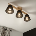 Brilagi - LED  Přisazený lustr ANTHONY 3xE14/40W/230V dub/černá