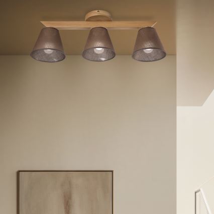 Brilagi - LED  Přisazený lustr ANTHONY 3xE14/40W/230V dub/hnědá