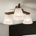 Brilagi - LED  Přisazený lustr ANTHONY 3xE14/40W/230V dub ořech/bílá
