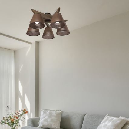 Brilagi - LED  Přisazený lustr ANTHONY 5xE14/40W/230V dub ořech/hnědá