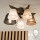 Brilagi - LED  Přisazený lustr ANTHONY 5xE14/40W/230V dub ořech