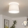 Brilagi - LED Přisazený lustr CERIA 1xE27/40W/230V pr. 30 cm bílá