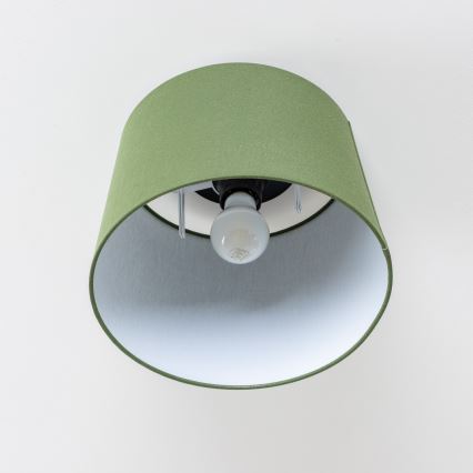 Brilagi - LED Přisazený lustr CERIA 1xE27/40W/230V pr. 30 cm zelená