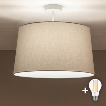 Brilagi - LED Přisazený lustr CERIA 1xE27/60W/230V pr. 45 cm bílá/šedá