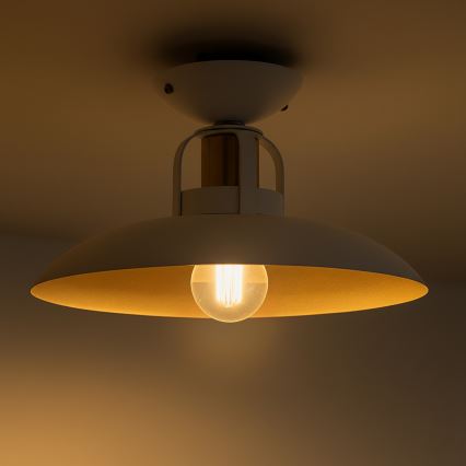 Brilagi - LED Přisazený lustr FLAMENGO 1xE27/60W/230V bílá