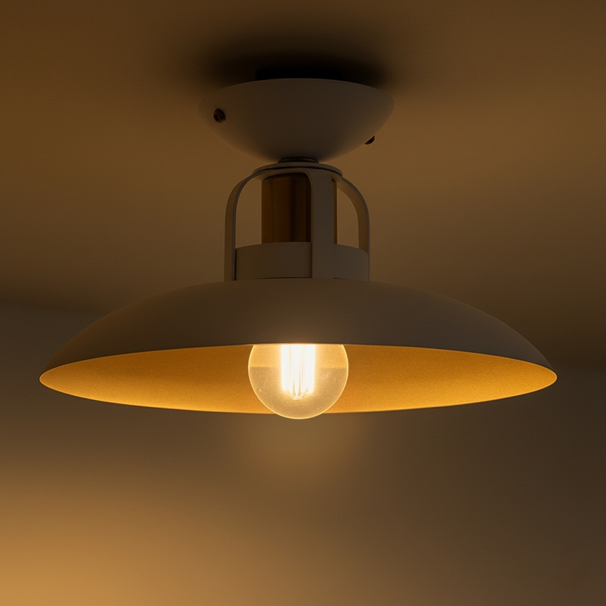 Brilagi - LED Přisazený lustr FLAMENGO 1xE27/60W/230V bílá