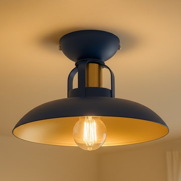 Brilagi - LED Přisazený lustr FLAMENGO 1xE27/60W/230V modrá