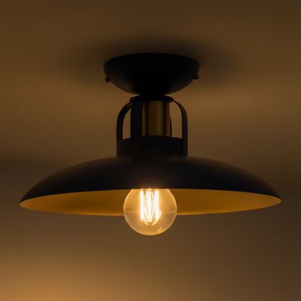 Brilagi - LED Přisazený lustr FLAMENGO 1xE27/60W/230V modrá