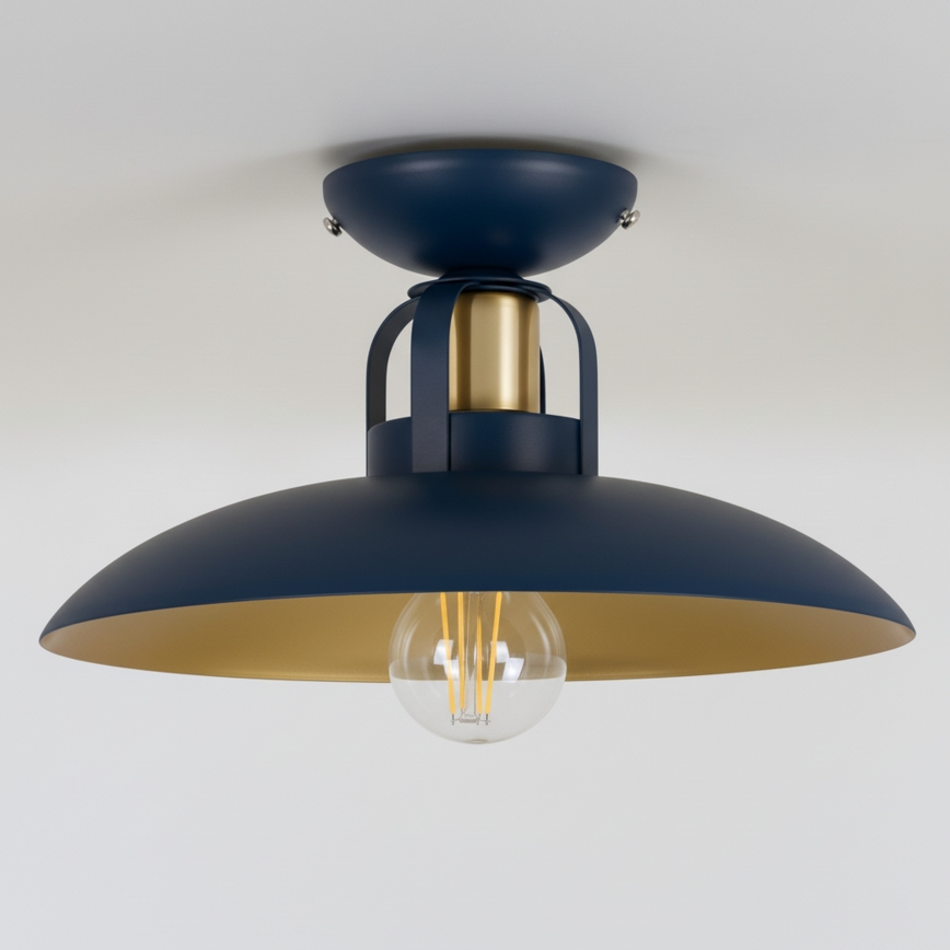 Brilagi - LED Přisazený lustr FLAMENGO 1xE27/60W/230V modrá