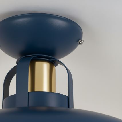 Brilagi - LED Přisazený lustr FLAMENGO 1xE27/60W/230V modrá