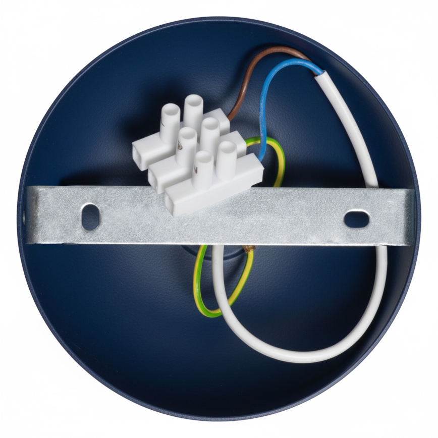 Brilagi - LED Přisazený lustr FLAMENGO 1xE27/60W/230V modrá