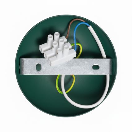 Brilagi - LED Přisazený lustr FLAMENGO 1xE27/60W/230V zelená