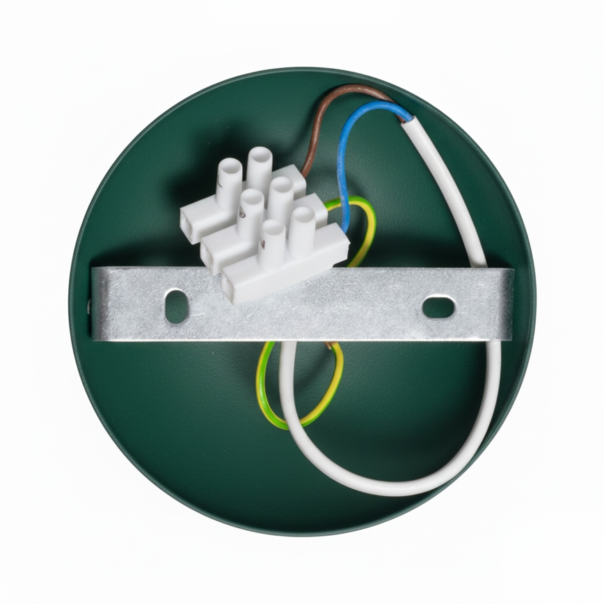 Brilagi - LED Přisazený lustr FLAMENGO 1xE27/60W/230V zelená