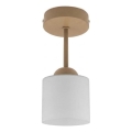 BRILAGI - LED Přisazený lustr RETRO GLASS 1xE27/60W/230V pr. 10 cm béžová/bílá