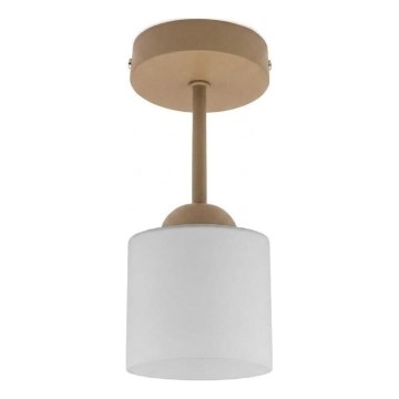 BRILAGI - LED Přisazený lustr RETRO GLASS 1xE27/60W/230V pr. 10 cm béžová/bílá