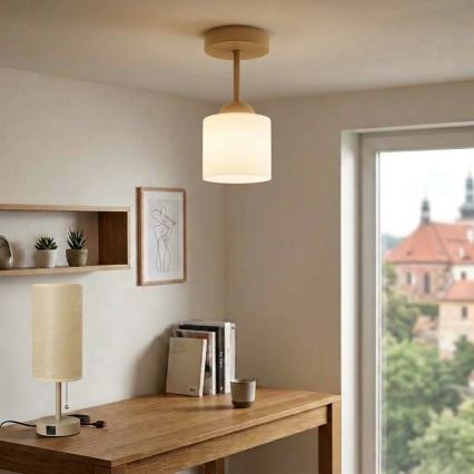 BRILAGI - LED Přisazený lustr RETRO GLASS 1xE27/60W/230V pr. 10 cm béžová/bílá