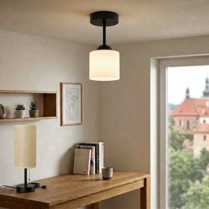 BRILAGI - LED Přisazený lustr RETRO GLASS 1xE27/60W/230V pr. 10 cm černá/bílá