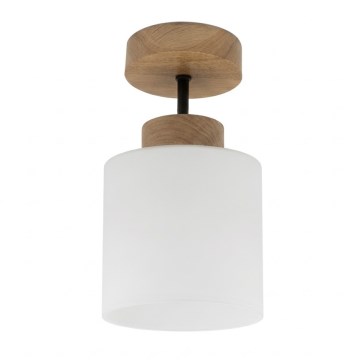 BRILAGI - LED Přisazený lustr RETRO GLASS 1xE27/60W/230V pr. 10 cm dub/bílá