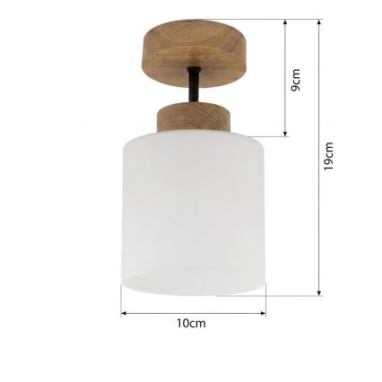 BRILAGI - LED Přisazený lustr RETRO GLASS 1xE27/60W/230V pr. 10 cm dub/bílá