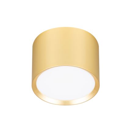 Brilagi - LED RGB+CCT Stmívatelné bodové svítidlo SMOOTH 1xGX53/14W/230V 2700-6500K Wi-Fi Tuya zlatá