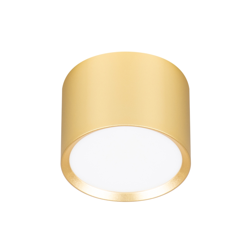 Brilagi - LED RGB+CCT Stmívatelné bodové svítidlo SMOOTH 1xGX53/14W/230V 2700-6500K Wi-Fi Tuya zlatá
