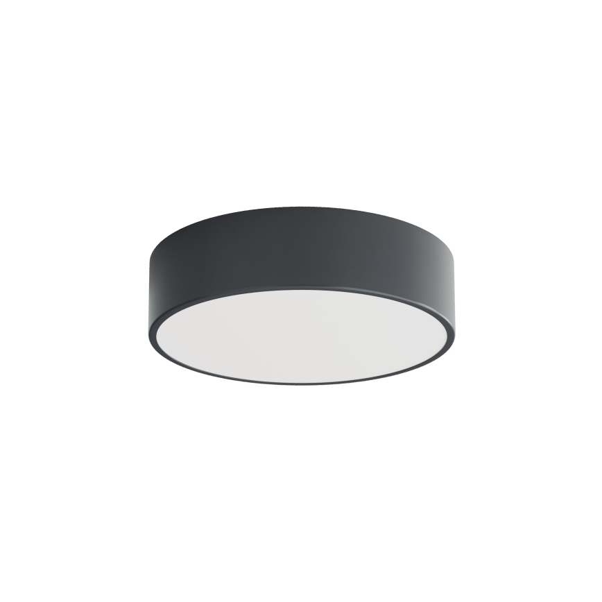 BRILAGI - LED RGBW Stmívatelné koupelnové stropní svítidlo CLARE 2xE27/12W/230V pr. 30 cm antracit IP54