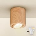Brilagi - LED RGBW Stmívatelné bodové svítidlo MIA 1xGU10/4,8W/230V 3000K 84x80 mm hnědá + dálkové ovládání