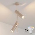 Brilagi - LED RGBW Stmívatelný lustr na tyči BRANCH 2xGU10/6,5W/230V 2700-6500K béžová
