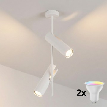 Brilagi - LED RGBW Stmívatelný lustr na tyči BRANCH 2xGU10/6,5W/230V 2700-6500K bílá