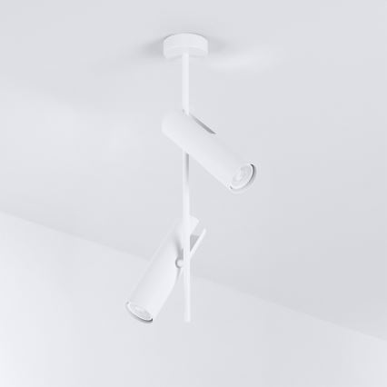 Brilagi - LED RGBW Stmívatelný lustr na tyči BRANCH 2xGU10/6,5W/230V 2700-6500K bílá
