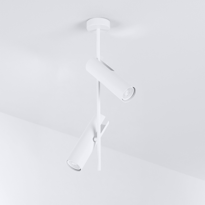 Brilagi - LED RGBW Stmívatelný lustr na tyči BRANCH 2xGU10/6,5W/230V 2700-6500K bílá