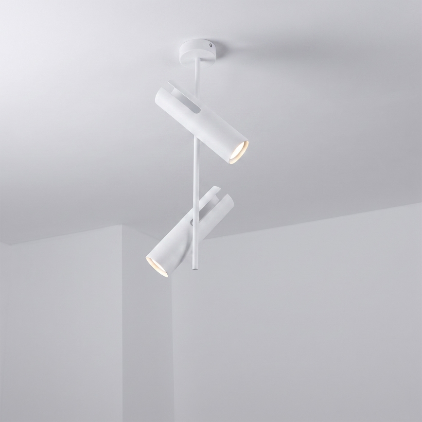 Brilagi - LED RGBW Stmívatelný lustr na tyči BRANCH 2xGU10/6,5W/230V 2700-6500K bílá