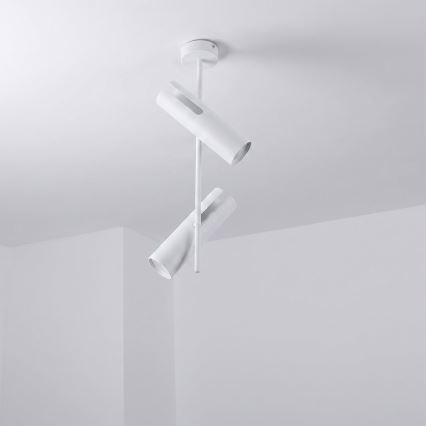 Brilagi - LED RGBW Stmívatelný lustr na tyči BRANCH 2xGU10/6,5W/230V 2700-6500K bílá