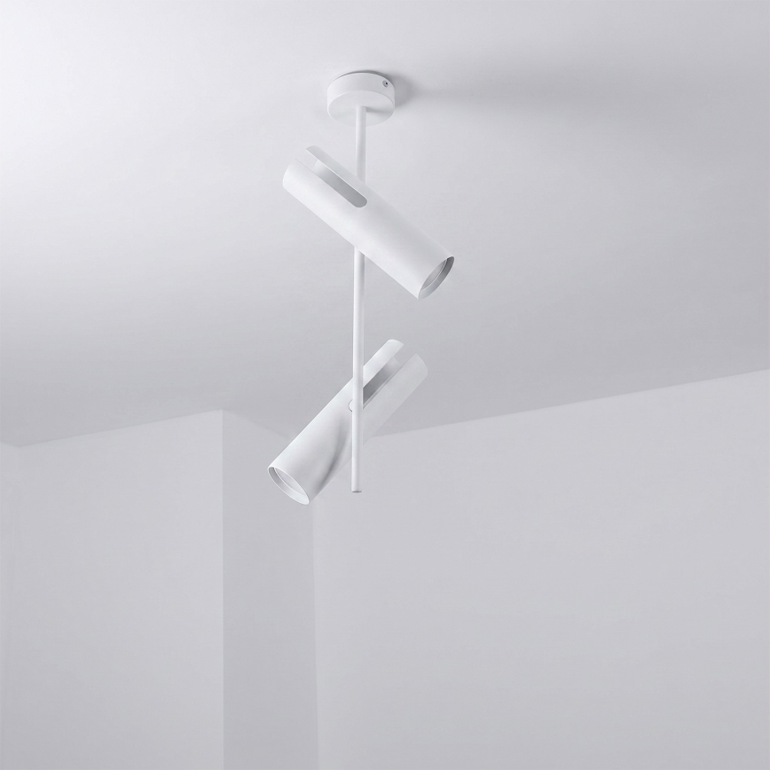 Brilagi - LED RGBW Stmívatelný lustr na tyči BRANCH 2xGU10/6,5W/230V 2700-6500K bílá