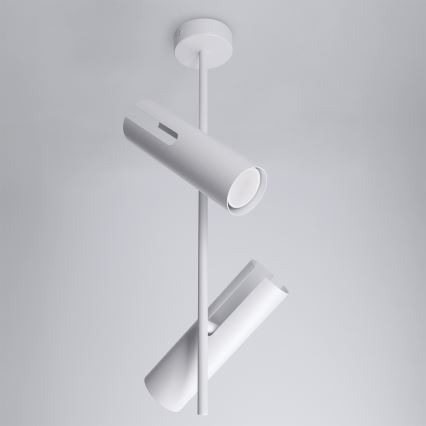 Brilagi - LED RGBW Stmívatelný lustr na tyči BRANCH 2xGU10/6,5W/230V 2700-6500K bílá